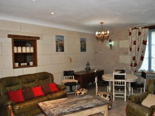 Gîte familial spacieux avec jardin privé, proche châteaux et zoo, jeux pour enfants, billard et cheminée - FR-1-381-6 - Bléré - 5