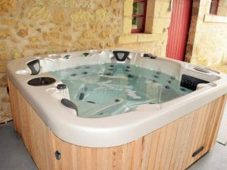 Élégante Demeure 17e avec Spa, Sauna et Authentique Cheminée, proche Châteaux de la Loire - FR-1-381-348 - Les Essards - 9