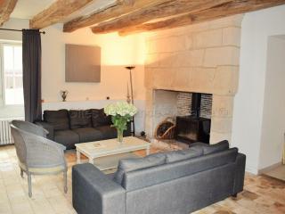 Élégante Demeure 17e avec Spa, Sauna et Authentique Cheminée, proche Châteaux de la Loire - FR-1-381-348 - Les Essards - 1