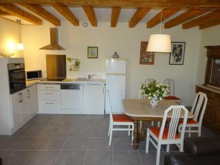 Gîte familial près de Chinon avec cour fermée, terrasse et équipements bébé - FR-1-381-370 - Huismes - 9