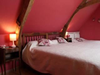 Charmante maison ancienne avec WIFI et animaux acceptés - FR-1-497-40 - Cerisi-Belle-Étoile - 8