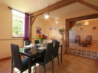 Maison de charme avec grand jardin, proche Haras du Pin, animaux acceptés, idéale pour familles - FR-1-497-5 - Saint-Pierre-la-Rivière - 6