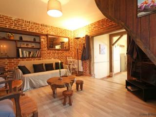 Maison de charme avec grand jardin, proche Haras du Pin, animaux acceptés, idéale pour familles - FR-1-497-5 - Saint-Pierre-la-Rivière - 4