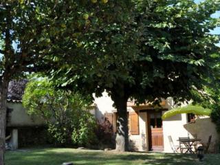 Gîte chaleureux avec cheminée, terrasse et jardin clos - Animaux acceptés - FR-1-496-30 - Maringes - 9