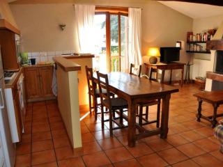 Gîte chaleureux avec cheminée, terrasse et jardin clos - Animaux acceptés - FR-1-496-30 - Maringes - 8