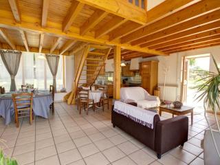Gîte de charme avec cheminée, grand jardin et balades, animaux acceptés - FR-1-496-60 - Les Salles - 7