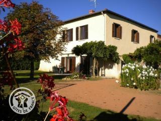 Gîte campagnard avec poêle, jardin clos et WIFI - FR-1-496-113 - Notre-Dame-de-Boisset - 0