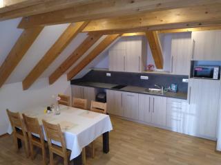 APARTMÁNY NA VÝSLUNÍ - Horní Maxov - 9
