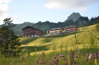Ländle Hotel - Damuls - 5