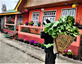 Temi Sarika Homestay - Damthang - 0