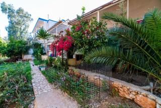 Eucalyptus Pension - Patara - 8