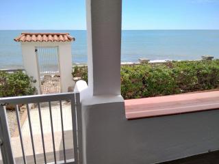 Sargantana Blava - 6