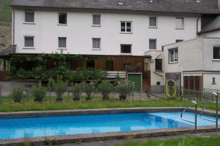 Hotel Dampfmühle - Enkirch - 8