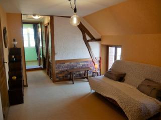 Charmante Maison pour 6 à St Père-sur-Loire, Vue Loire - FR-1-590-178 - Saint-Père-sur-Loire - 5