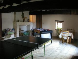 Maison rustique avec salle de jeux, jardin, 5 chambres près du Zoo de Beauval - FR-1-591-34 - Gehée - 7