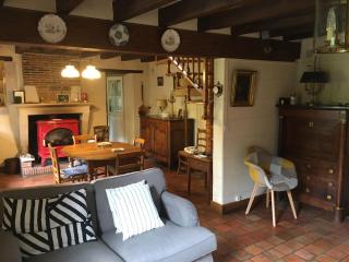 Maison de campagne rénovée avec jardin, à proximité de Valençay et du Zoo de Beauval - FR-1-591-287 - Veuil - 9