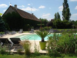 Gîtes avec piscine partagée dans la Brenne, proche sites historiques - FR-1-591-120 - Rosnay - 0