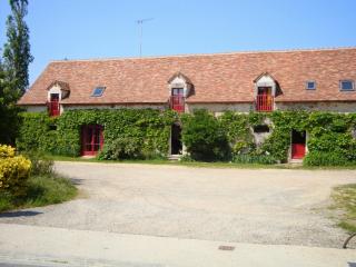 Gîtes avec piscine partagée dans la Brenne, proche sites historiques - FR-1-591-120 - Rosnay - 9