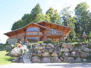 Chalet bois à Liézey : confort moderne, terrasse, proximité Gérardmer et chemins pédestres - FR-1-589-330 - 0