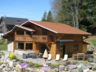 Chalet bois à Liézey : confort moderne, terrasse, proximité Gérardmer et chemins pédestres - FR-1-589-330 - 9