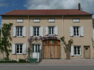 Gîte moderne avec billard et poêle à bois, proche de Mirecourt et Vittel, animaux bienvenus - FR-1-589-180 - Velotte-et-Tatignécourt - 0