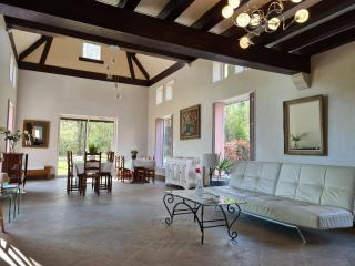 Maison isolée avec parc, étang privé et à 20 min du Zoo de Beauval - FR-1-591-309 - Vicq-sur-Nahon - 7