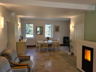 Maison isolée avec parc, étang privé et à 20 min du Zoo de Beauval - FR-1-591-309 - Vicq-sur-Nahon - 5
