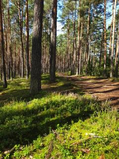 Osada nad Szumem - Józefów - 7