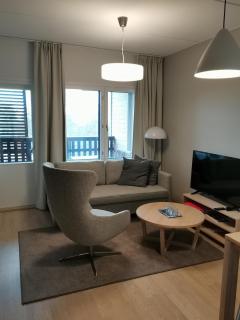 Ruka Ski Chalets - 3