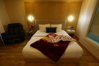 The Byke Nature Vilas Pure Veg - Shimla - 5