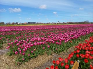 Bed en Breakfast kamers en meer Het Spookhuis - Den Hoorn - 9