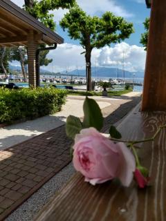 Villaggio Turistico dei Tigli - Padenghe sul Garda - 3