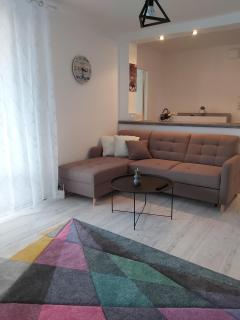 Chic Apartament - Deva - 4