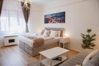 Heart of Pécs apartman free parking - Pécs - 5