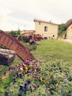 Agriturismo Casale Sant'Antonio - Cascia - 3