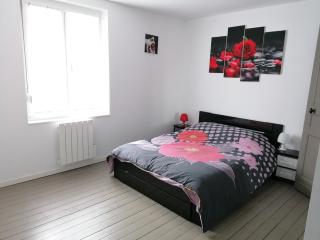 GAYANTINE - Spacieuse Confortable Proche Gayant Expo FIBRE - Roost-Warendin - 6