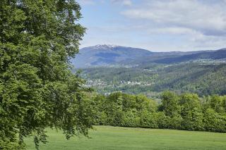 Seeblick Susanne - 1