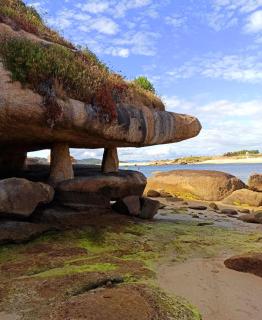 Pension Paxaro Negro - 3