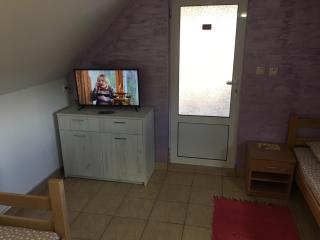 Banja Gornja Trepca-smestaj Grof - 8