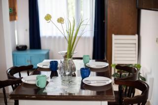 BORÓWNO WIELKIE Skarszewy Domek letniskowy - apartamenty letniskowe - Skarszewy - 9