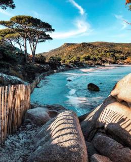 Maison de Plage à pied San Cipriano 5 pers - 1