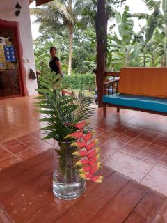 Piedras Blancas Lodge - Puerto Ayora - 7