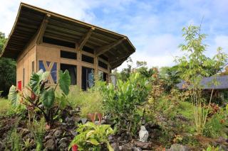 Kalani Oceanside Retreat - Pahoa - 9
