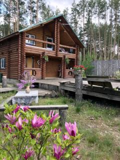 Eco dom v lesu - Bila Krynytsya - 1
