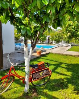 Vacation house Vila Guma Rastani Mostar - Mostar - 2