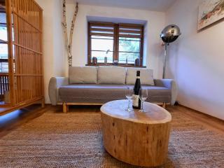 Apartmán Na Svahu, Krkonoše - Žacléř - 8