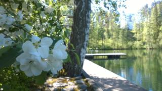 Hotelli Fennada - Vierumäki - 4