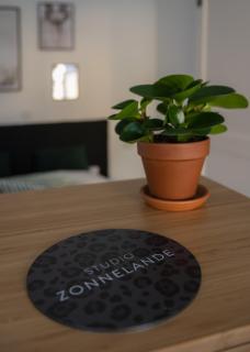 Zonnelande - comfort studio - 8