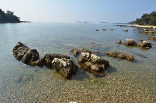 Apartment Irene - Rovigno (Rovinj) - 1