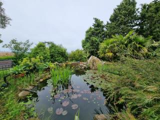 Garden apartment - 8